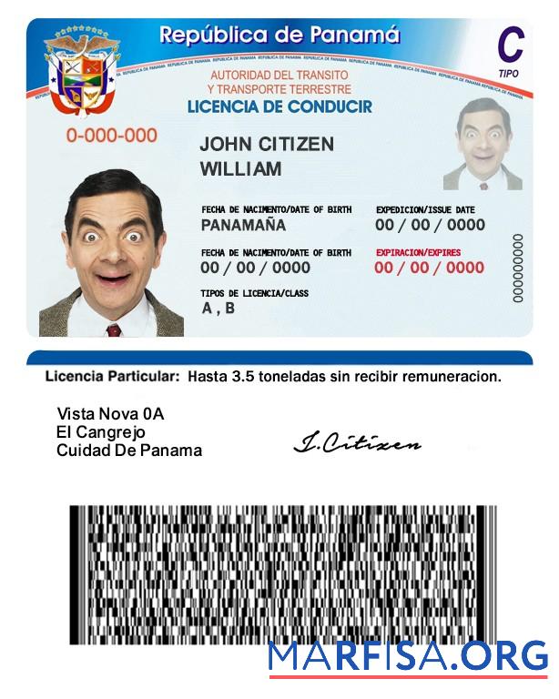 Realistic Panama driving license example